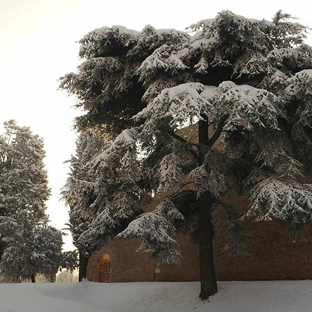 Ca Raffaello Lovely House Near Venice Ноале Екстериор снимка